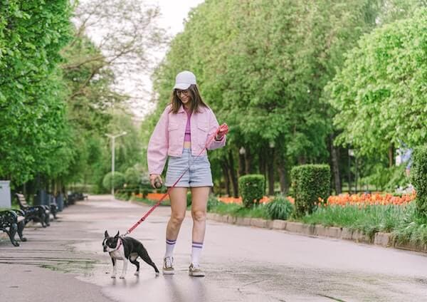 woman walking dog in central park