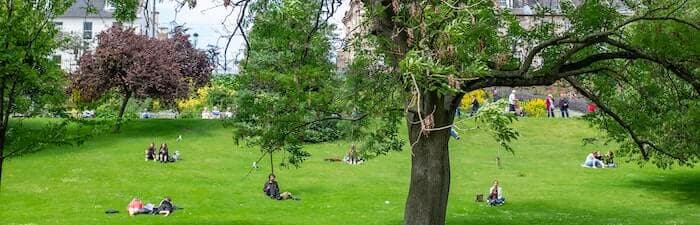 people enjoying beautiful day in the park